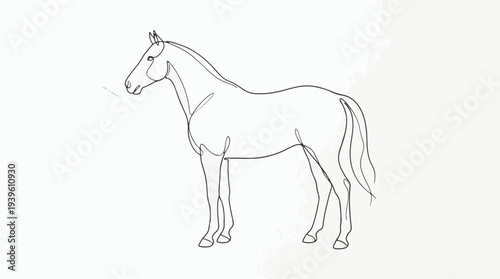 Elegant Horse Line Art Drawing with Minimalist Single Line Style