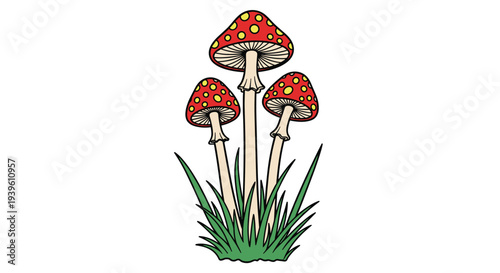 Three iconic red fly agaric mushrooms with white spots growing in a patch of green grass for a fairytale look.