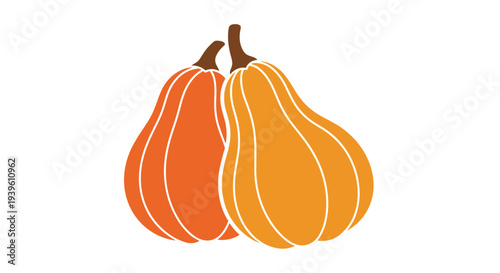 Two ripe orange butternut squashes with brown stems huddled together on a plain white background for autumn food.