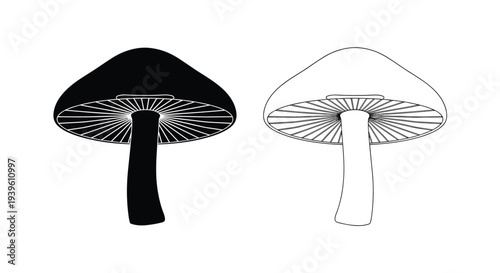 Comparison of a solid black mushroom silhouette and its corresponding line art drawing placed side by side for study.