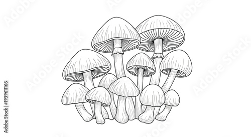 Detailed black and white line art illustration of a cluster of various wild mushrooms with different cap shapes and textured stalks for coloring.
