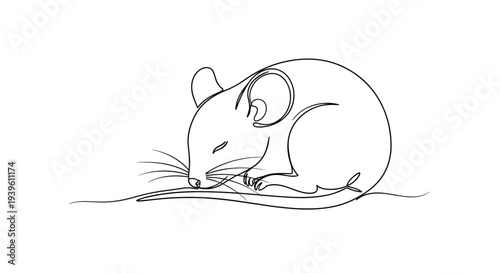 Gentle continuous line drawing of a small mouse curled up and sleeping peacefully with its tail tucked in on a simple white background.