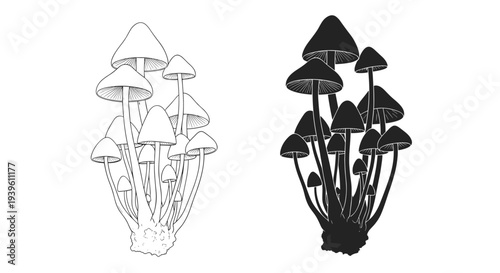 Pair of mushroom cluster illustrations with one rendered in detailed black line work and the other as a solid black silhouette for graphic design.