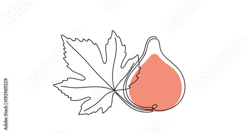 Artistic continuous line drawing of a fig fruit with its characteristic leaf featuring a soft peach-colored splash of paint behind the fruit.