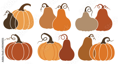 Different types of pumpkins and gourds in autumn colors like orange and brown arranged in pairs on a white background.