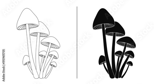 Comparison of a cluster of thin mushrooms shown as a black and white outline on one side and a solid silhouette on the other.