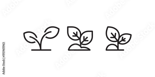 Plant icon vector for web. Simple style plant illustration for web. plant symbol for web. plant outline.
