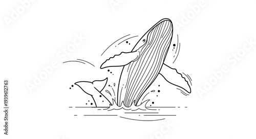 vector illustration of a surfboard