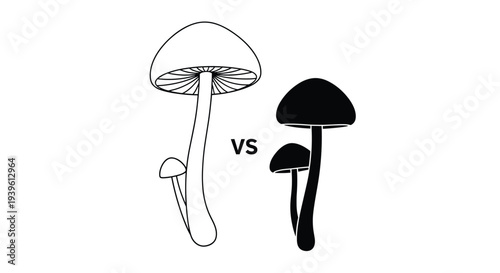 Comparison illustration of a pair of mushrooms showing a detailed line drawing version versus a solid black silhouette shape.
