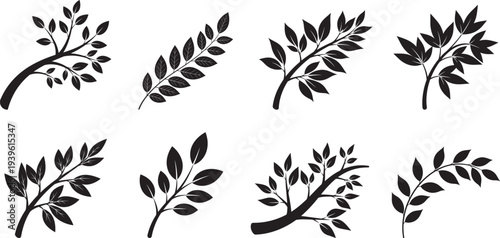 Plant stem with several leaves black silhouette collection, leaf branch silhouette stock vector branch and leaves on white background.
