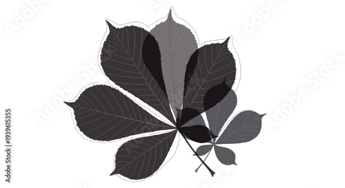 Artistic composition featuring overlapping chestnut leaves in different shades of gray and black, creating a layered effect.