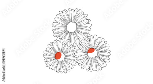 Three hand-drawn daisy flowers arranged in a cluster, shown in fine line art with subtle red accents in their centers on white.