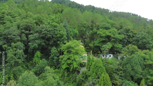 Serene Statue of Lord Buddha in the Middle of a Jungle | Peaceful Spiritual Scene in Nature