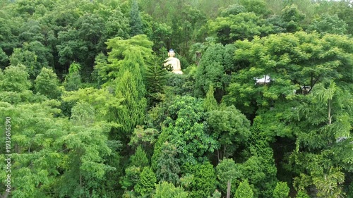 Serene Statue of Lord Buddha in the Middle of a Jungle | Peaceful Spiritual Scene in Nature