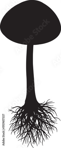 Black silhouette of a mushroom with extended roots also transparent background fungi nature