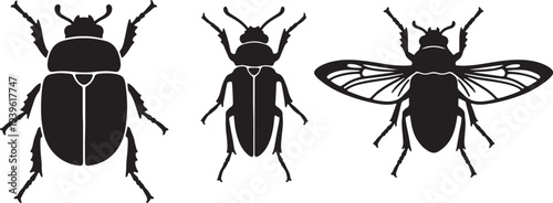 Black silhouettes of beetle fly and bug insects also transparent background