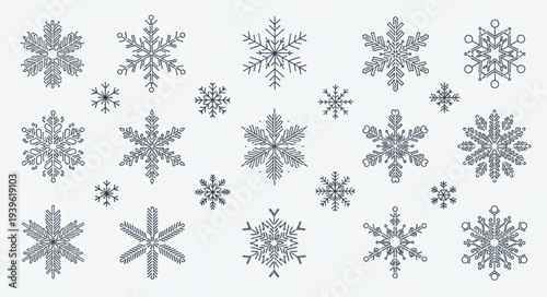 Collection of Various Snowflakes with Unique Patterns.