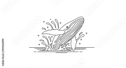 surf board vector illustration