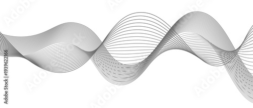 Stylish Abstract Gray Wave Lines Vector Illustration Design Smooth Curved Line Pattern on White Background