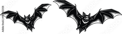 Set of hand drawn vintage bat illustrations in black and white engraving style for Halloween decor spooky gothic design or dark nature occult graphic projects