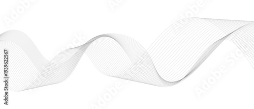 Stylish Abstract Gray Wave Lines Vector Illustration Design Smooth Curved Line Pattern on White Background