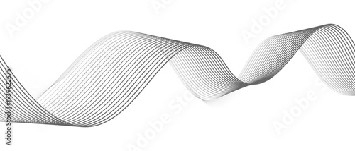 Stylish Abstract Gray Wave Lines Vector Illustration Design Smooth Curved Line Pattern on White Background