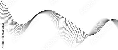 Stylish Abstract Gray Wave Lines Vector Illustration Design Smooth Curved Line Pattern on White Background