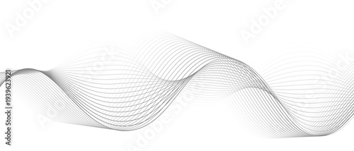 Stylish Abstract Gray Wave Lines Vector Illustration Design Smooth Curved Line Pattern on White Background