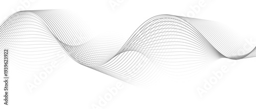 Stylish Abstract Gray Wave Lines Vector Illustration Design Smooth Curved Line Pattern on White Background