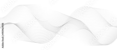 Stylish Abstract Gray Wave Lines Vector Illustration Design Smooth Curved Line Pattern on White Background