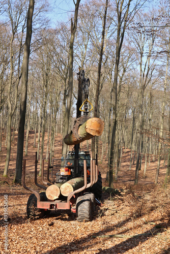 Holzrückung mit Holzrückeanhänger und Kran