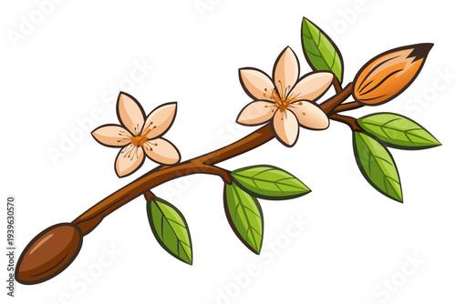 Illustration of a blooming cherry blossom branch with two flowers, green leaves, and buds on a sturdy brown stem