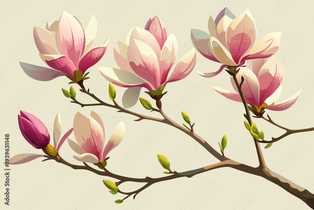 Fototapeta premium Elegant pink and cream magnolia blooms on branch with fresh green buds against soft beige background