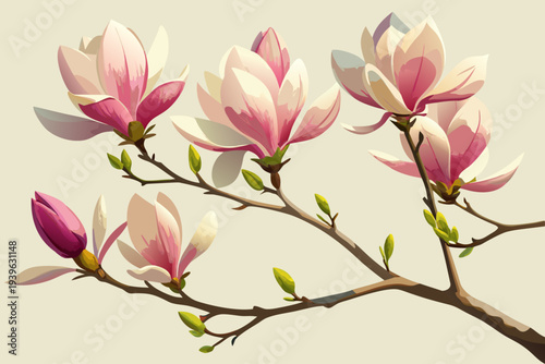 Elegant pink and cream magnolia blooms on branch with fresh green buds against soft beige background