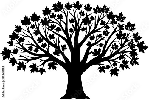 Black silhouette of a leafy tree with spreading branches and detailed maple leaves displayed against a white background