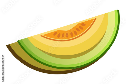 Colorful digital illustration of a fresh wedge showing green melon with juicy orange seeds and layered textured rind
