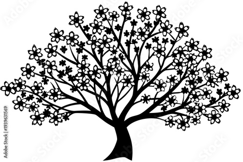 Silhouette of a blooming cherry blossom tree with delicate flowers and intricate branches against a white background