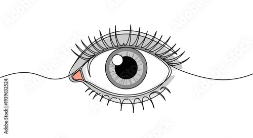 Simple contour drawing of an eye with detailed eyelashes and pupil on a transparent background