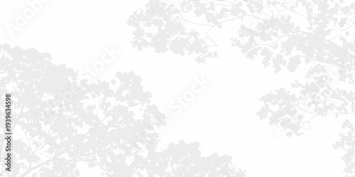 Delicate tree branches frame a light empty space in grayscale