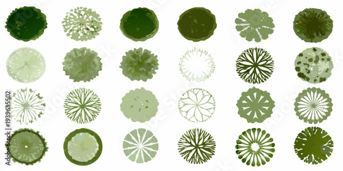 Overhead view of various stylized green trees in a grid pattern