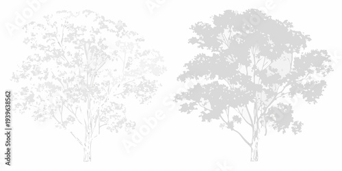Two silhouetted trees with varying shades of gray on a white background