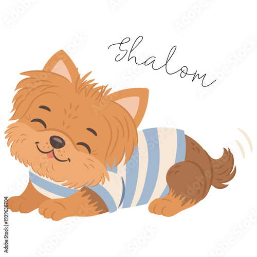 Cute yorkshire terrier dog in cute outfit. English translation for Shalom is Hello