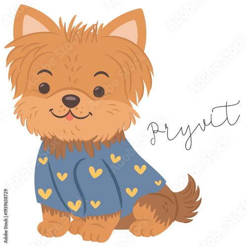 Cute yorkshire terrier dog in ukrainian outfit. English translation for Pryvit is Hello