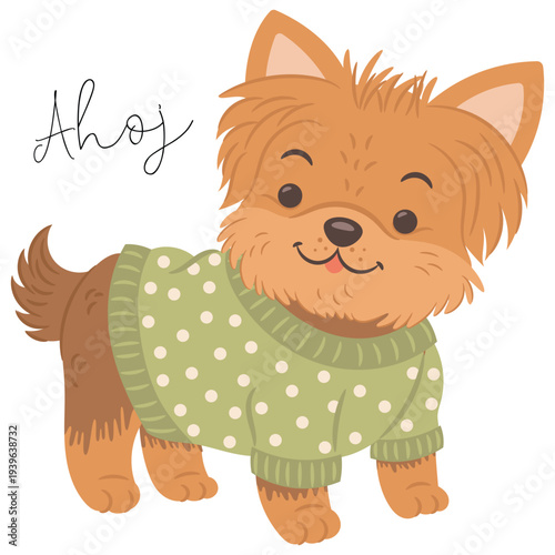 Cute yorkshire terrier dog wearing a sweater. English translation for Ahoj is Hello