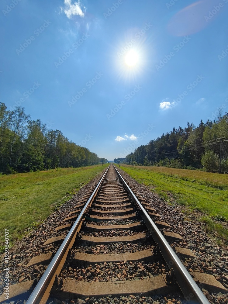 Fototapeta premium Railway tracks leading to horizon under bright sun in rural landscape