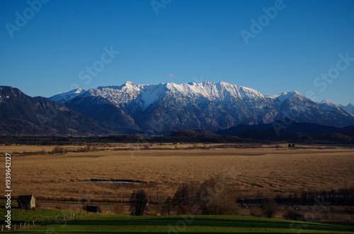 Bog in the foreland of the snowy Alps, Germany
