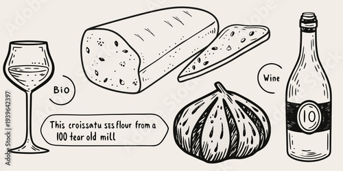 A charming sketch of cheese bread wine and figs for a picnic