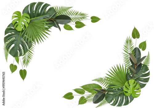 Tropical leaves arranged in a semi circle frame ideal for designs on transparent background