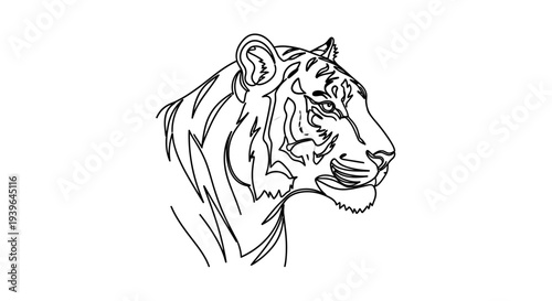 Tiger Head Outline Drawing, Majestic Wild Cat Portrait Line Art