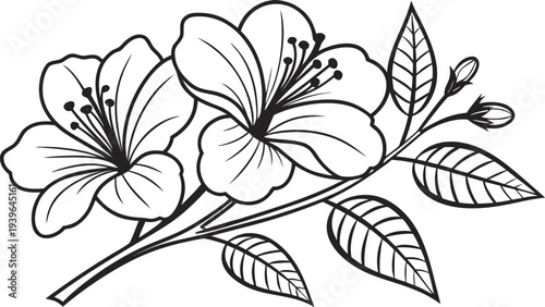 Black and white of flowers with large petals and leaves coloring page simple